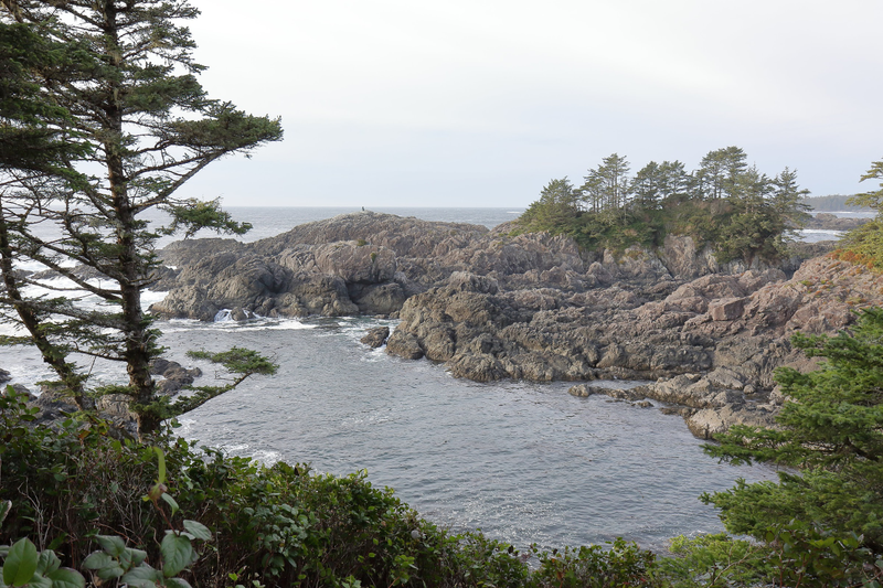 Illustration for article titled Trip Recap: 2017-12-09 on the Pacific Rim Highway to the Wild Pacific Trail